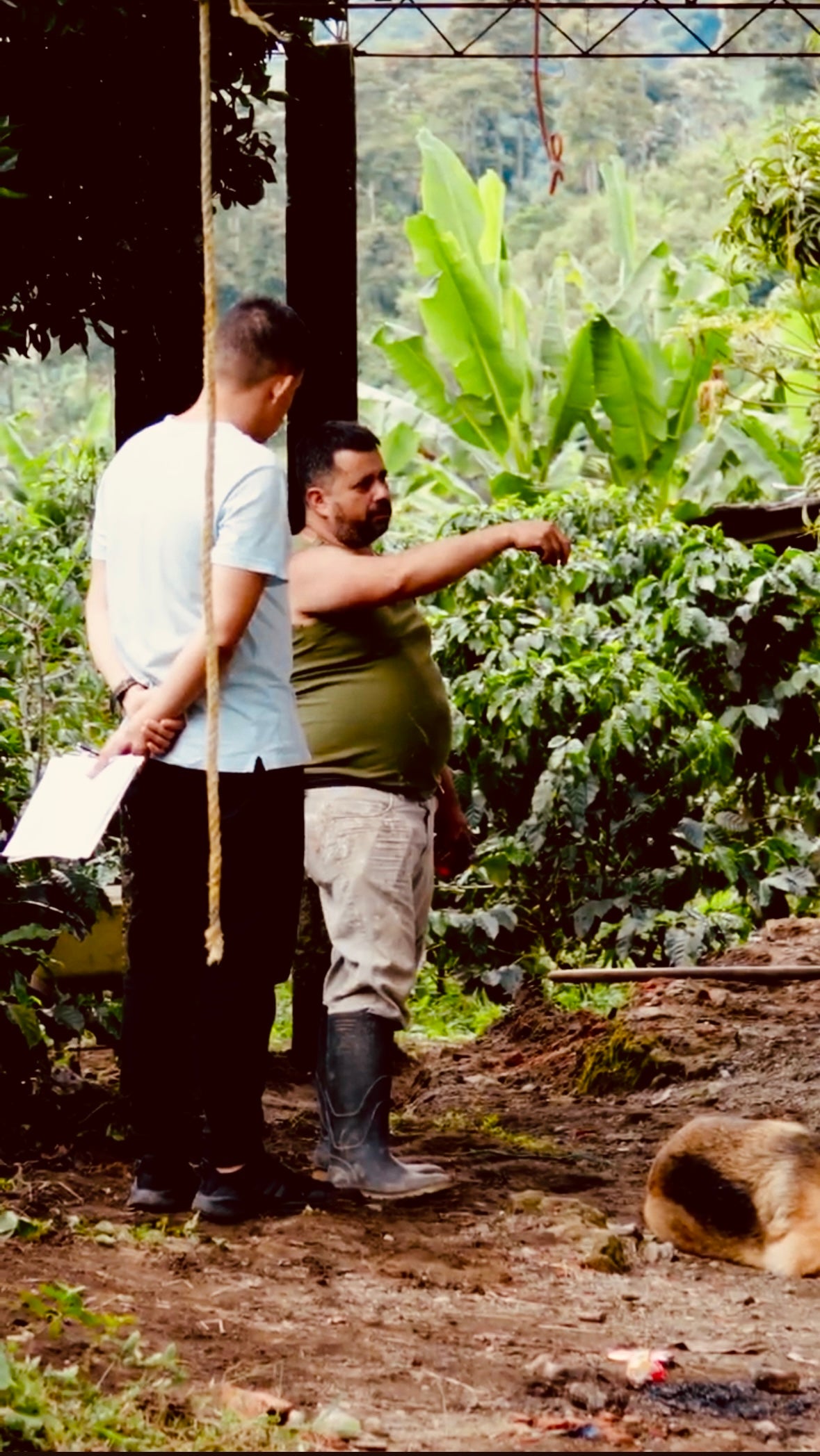 Simón Camilo - Córdoba, Quindío, Colombia