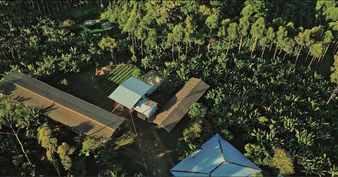 John Wilmer Cuellar Rodriguez - Acevedo, Huila, Colombia