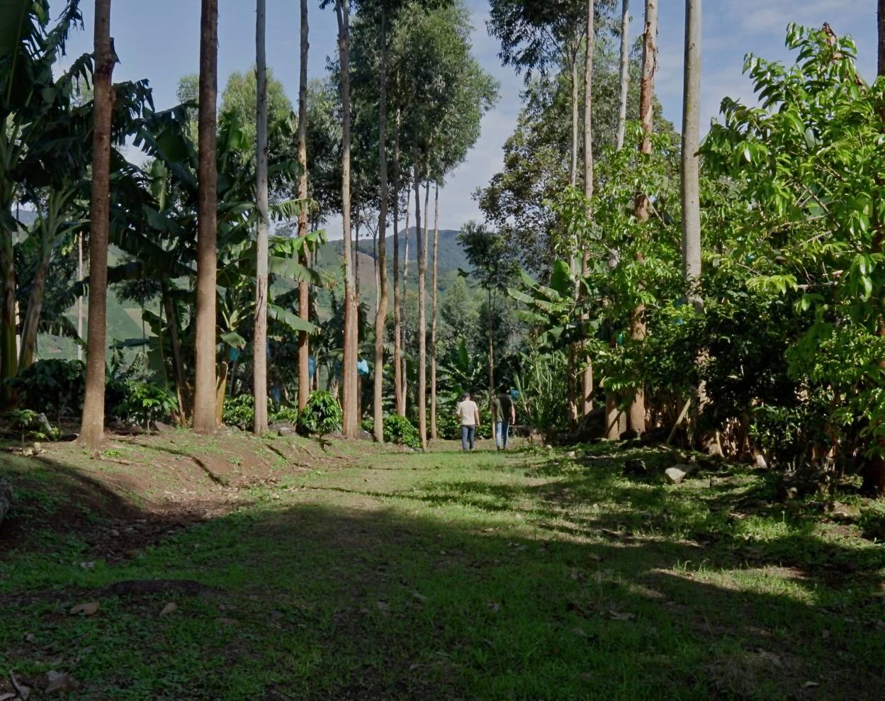 John Wilmer Cuellar Rodriguez - Acevedo, Huila, Colombia