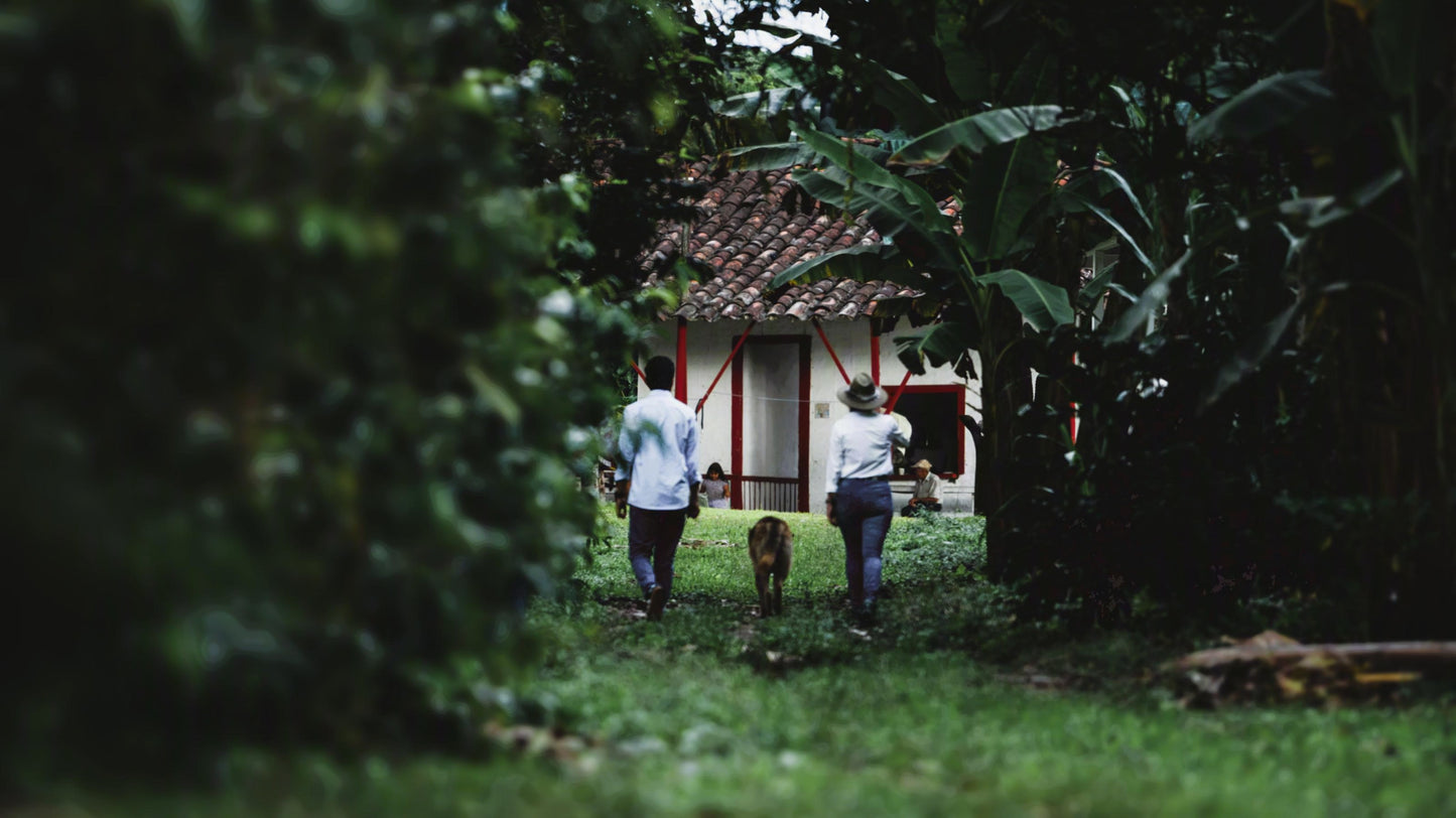 Viviana Martínez - La Tebaida, Quindío, Colombia