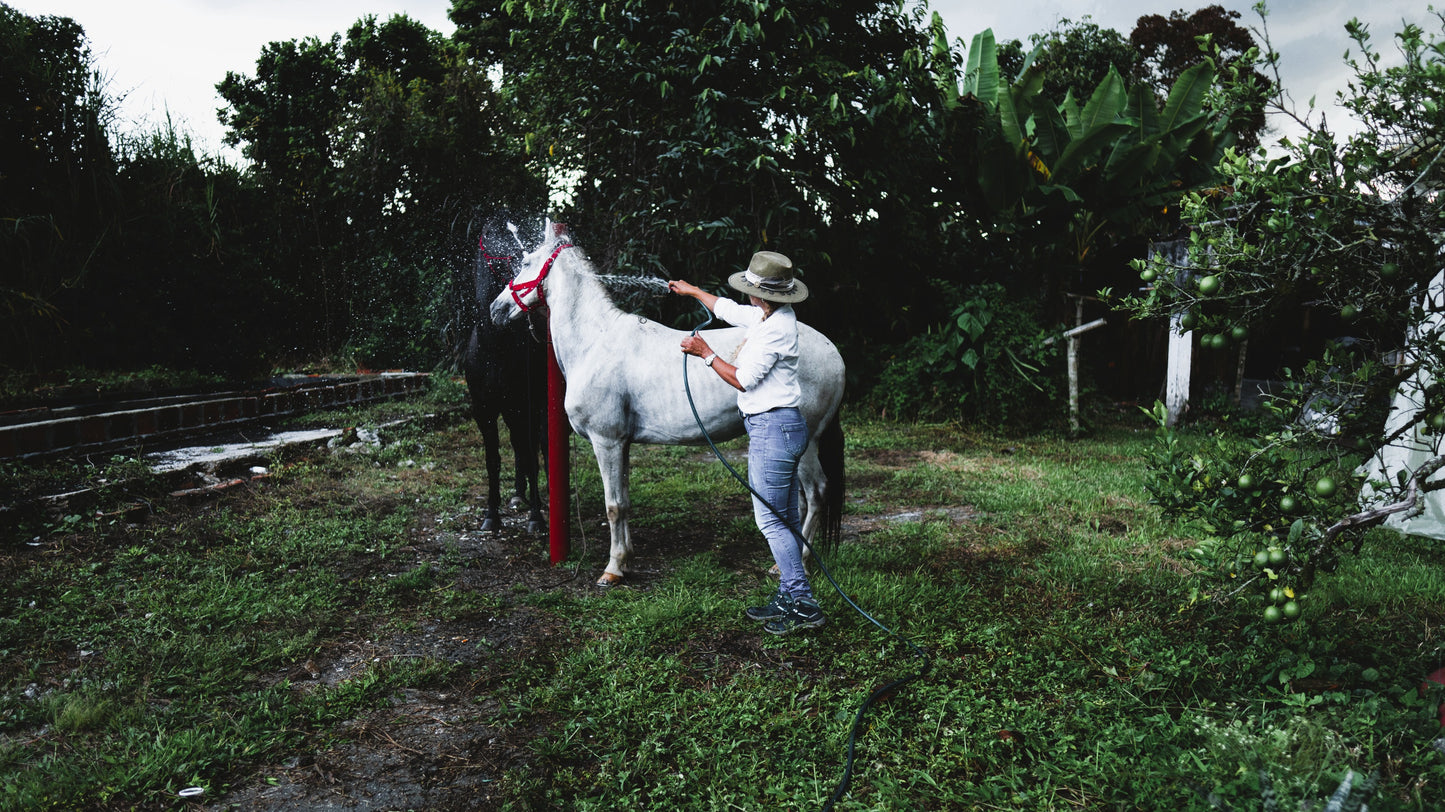 Viviana Martínez - La Tebaida, Quindío, Colombia