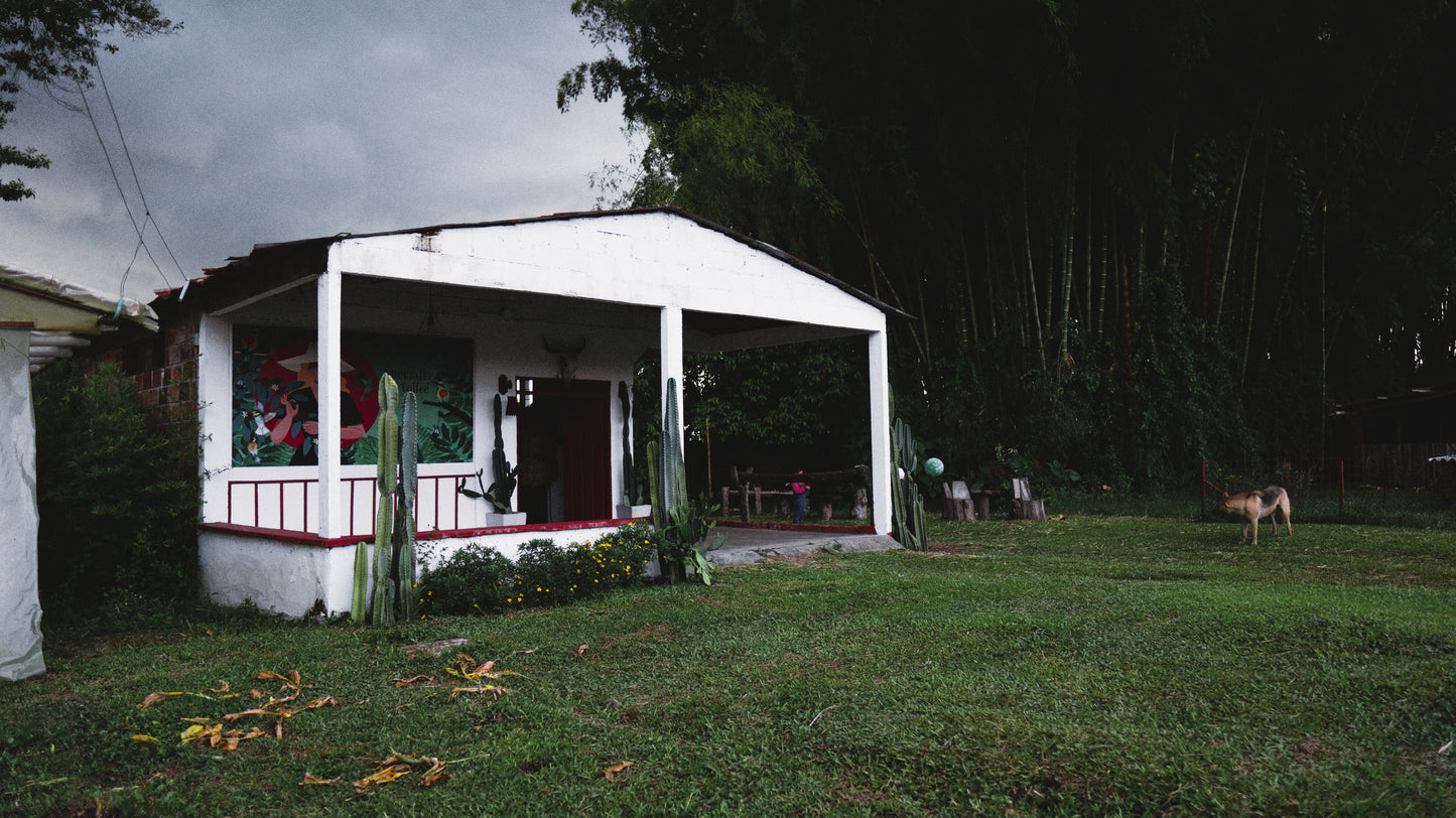 Viviana Martínez - La Tebaida, Quindío, Colombia