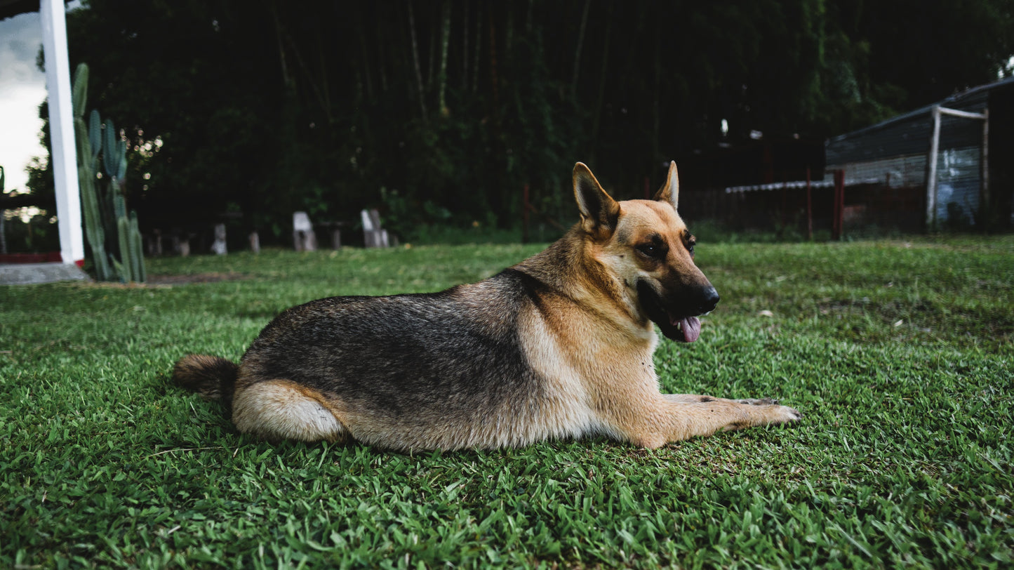 Viviana Martínez - La Tebaida, Quindío, Colombia